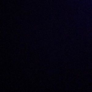 Meet your Posher, Cassius